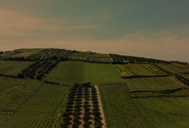 Arrendatário sem perfil de homem do campo não tem direito de preferência sobre imóvel